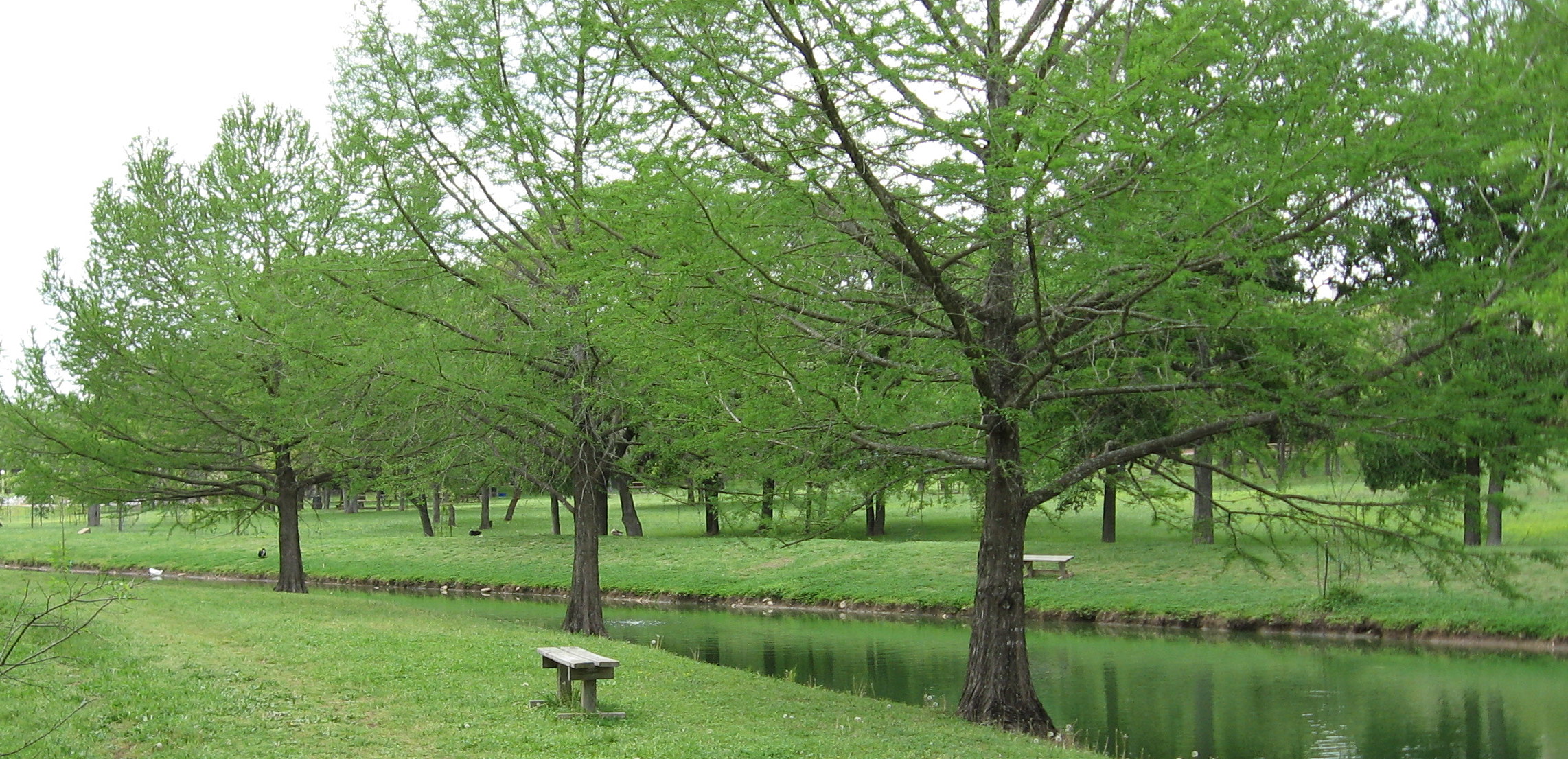 The Blue Valley Pond