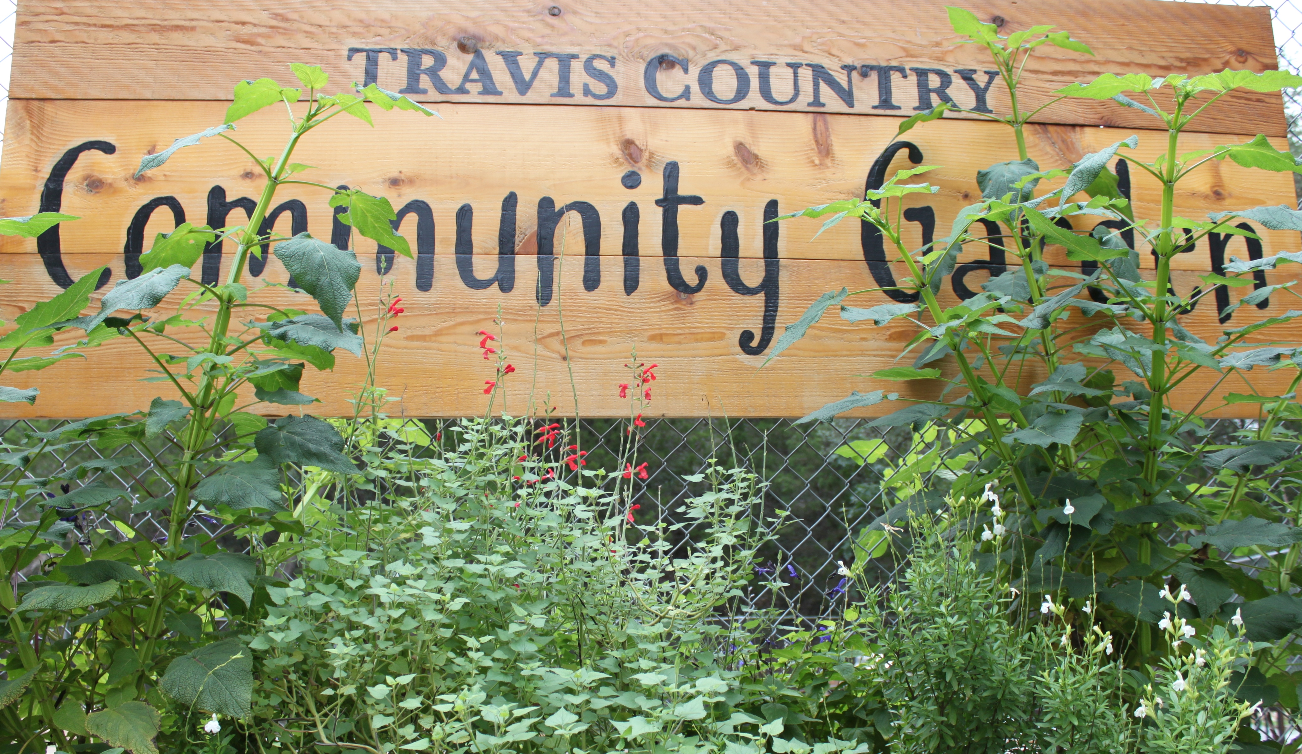 Travis Country Community Garden